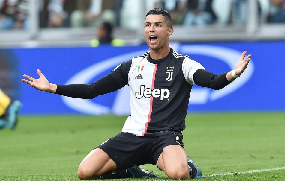 不仅证明了 不仅证明了