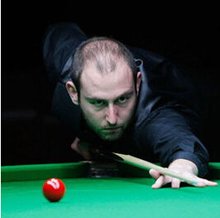 球迷提供了 球迷提供了