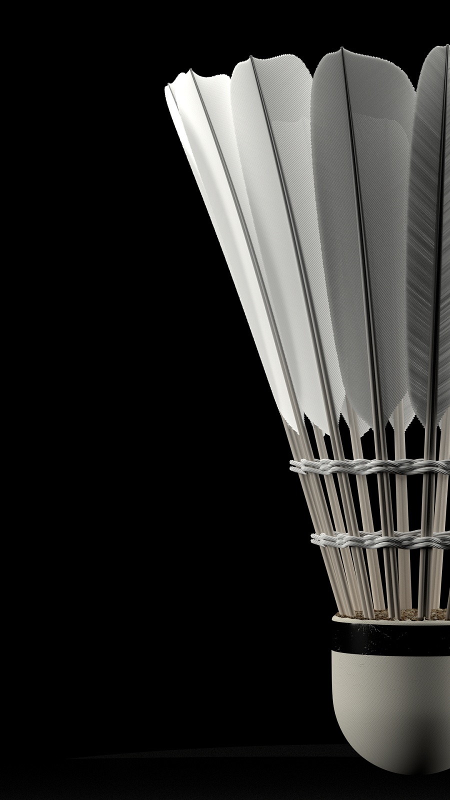 在比赛第2 在比赛第2