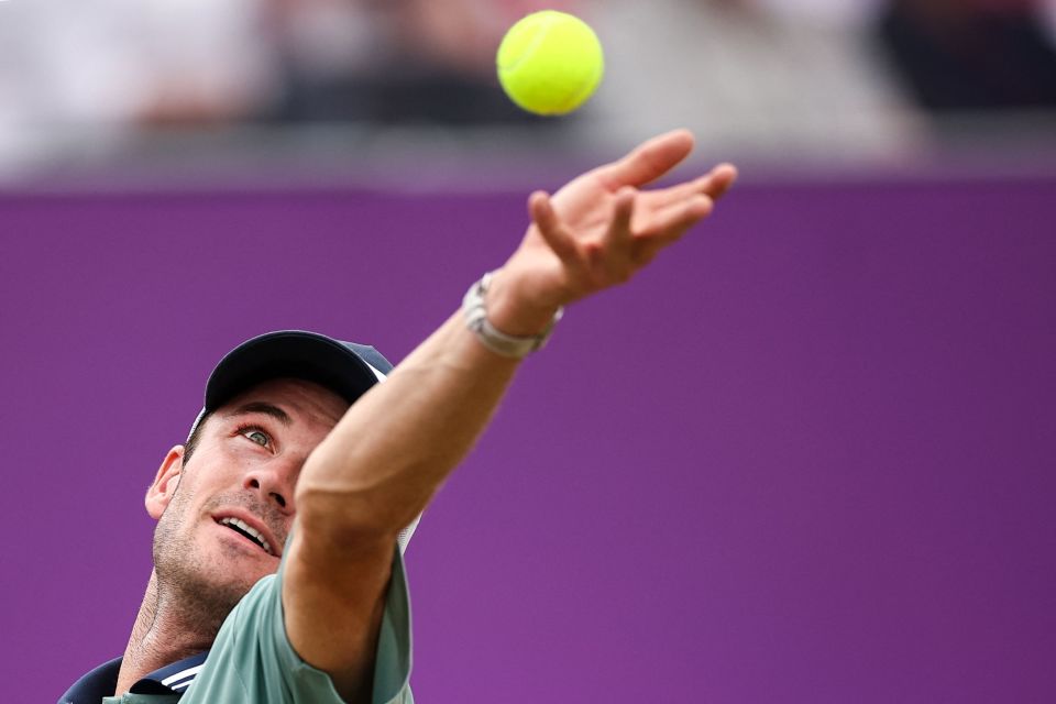 若赔率合适 若赔率合适