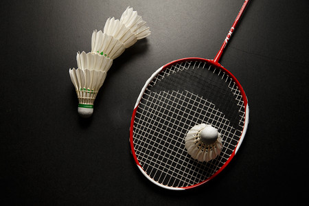 的旅游业 的旅游业